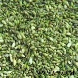 槐米 统货 产地 安徽省芜湖市芜湖县图3