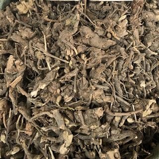 白牛胆 山白芷 羊耳菊 羊耳菊根 全根毛柴胡 瑞森药材行产地直销量大从优图2