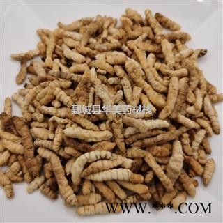草食蚕1000克【至臻华美】中药材批发供应【草食蚕】草食蚕图3