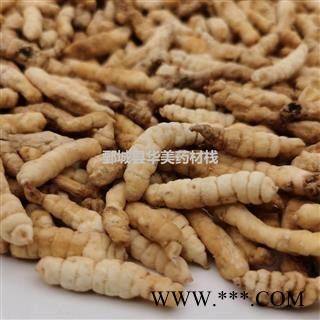 草食蚕1000克【至臻华美】中药材批发供应【草食蚕】草食蚕图4