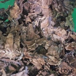 诺源药材行鸡蛋花 蛋黄花 擂捶花 大季花 缅栀子 番缅花图2