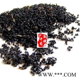 黑蚂蚁 正宗拟黑多刺蚁（特大蚂蚁）红蚂蚁  产地 广西壮族自治区图2