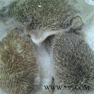 刺猬皮 统货 产地 山东省图2