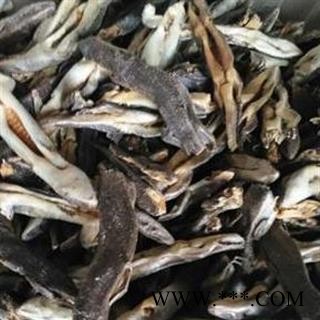 蜥蜴 石龙子 统货 产地 安徽省图2