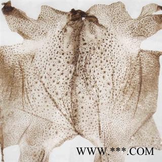 蟾皮 统货 产地 黑龙江省图2