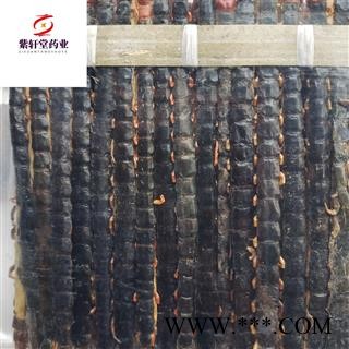 蜈蚣 蜈蚣大条精选货15-16cm 产地湖北省 地道药材 紫轩堂药业图4