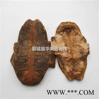 龟板 制龟板 产地 湖北省 制旱龟板图3