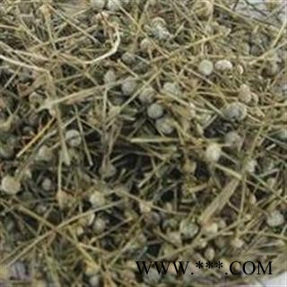 谷精草 统 产地 湖南省图2