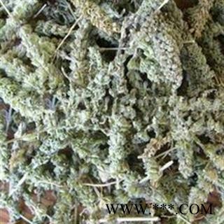 荆芥穗 荆芥穗选货 产地 河北省图2