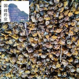 野菊花 野生正品 颜色好 足干 无虫蛀 国峰药业 重在品质 产地 安徽省图2