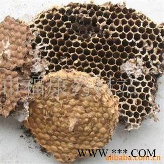 【录建药业】蜂房 软蜂房 产地 山东省泰安市泰山区图2