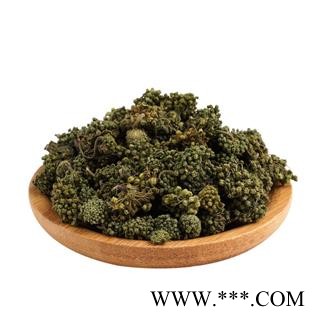 三七花 田七花  文山三七花图4