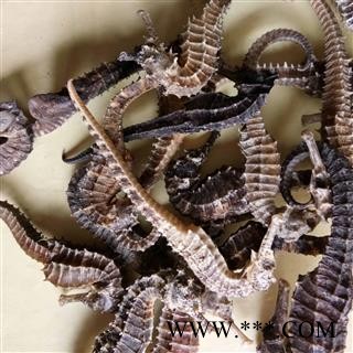 海马 海马（2g/个） 产地 广东省图3