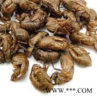 【录建药业】蝉蜕 蝉衣 统装蝉蜕 产地 山西省晋城市沁水县图2