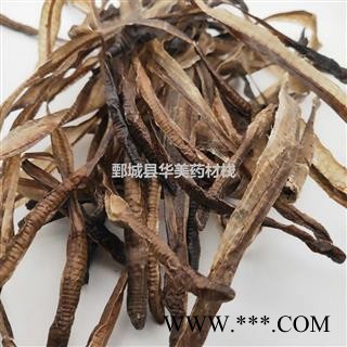 地龙 广地龙半开个 产地 广西 华美中药 产地直销 重在品质图4