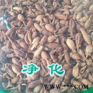 诺源药材行精选花茶 佛手花  佛柑花图3