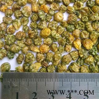 菊花米 浙江桐乡胎菊米1000克 产地 浙江省嘉兴市桐乡市图2