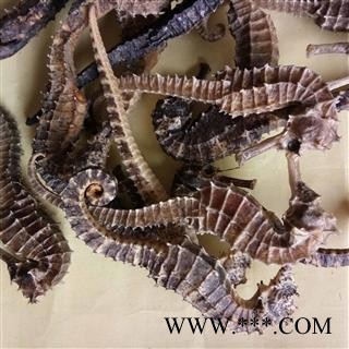 海马 海马（4g/个） 产地 广东省图3