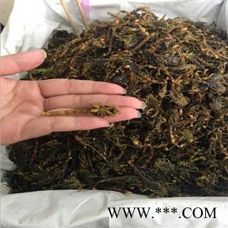 蝎子 山西陕西清水全蝎伏货 产地 陕西 华美中药 产地直销 重在品质图2