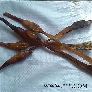 精品狗鞭选支  质量好 价格低  产地直销 产地 山东省图2