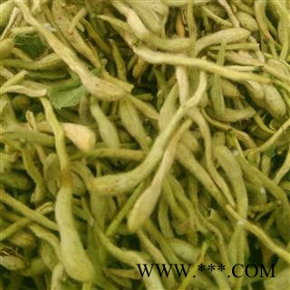 金银花 金银花青花精选货 产地 山东省大货批发价图2