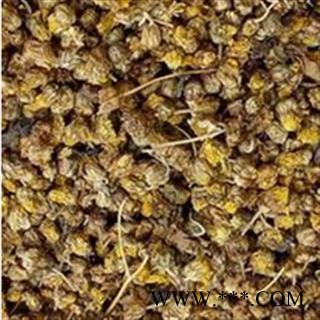 野菊花 野菊花 好统装 无硫货 供应各种中药材 产地 山东省图3