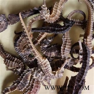 海马 小海马（1g/个） 产地 广东省图3