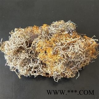 红雪茶 金丝刷 金丝茶 金刷把 红血茶 石蕊图2