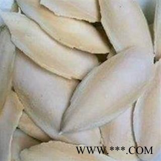 精品海螵蛸大选个 质量好价格低 产地直销  产地 广西壮族自治区图2