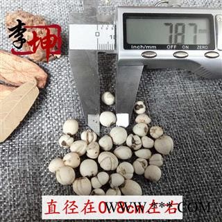 【包邮】川贝母 松贝一级0.8cm(50g)正宗四川松潘产【良心经营 假一罚十】图4