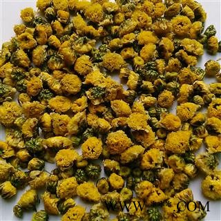 菊花 洋甘菊精品出口级 产地 安徽省图2