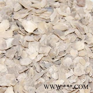 【录建药业】牡蛎 牡蛎统片 产地 山东省威海市图2