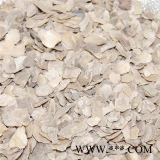 【录建药业】牡蛎 牡蛎统片 产地 山东省威海市图3