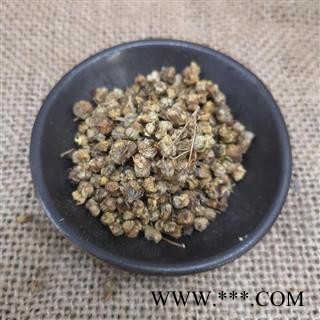 野菊花 菊花山菊花 野菊米图3