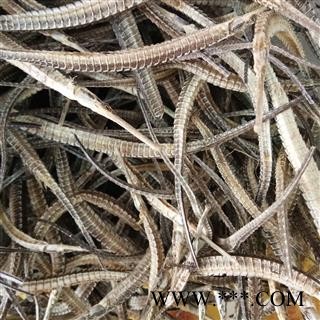 海龙 大海龙2－3g 产地 广东省图3