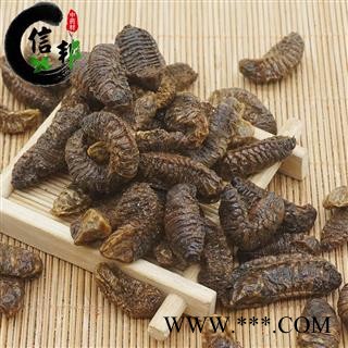 蛴螬土蚕地狗子一公斤起售专注品质，诚信信邦！图4