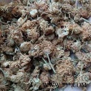 菊花 无硫亳菊花 产地 安徽省图2