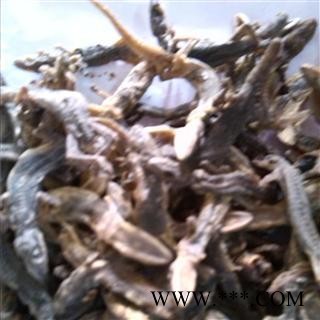 【录建药业】天龙 壁虎 进口天龙有碎条 产地 广西壮族自治区玉林市玉州区图3