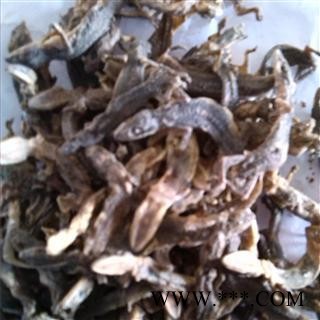 【录建药业】天龙 壁虎 进口天龙有碎条 产地 广西壮族自治区玉林市玉州区图2