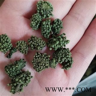 三七花 精品小选 三七花 纯青 颜色好图2