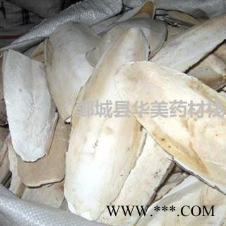 海螵蛸 整个海螵蛸  产地 广西 华美中药图4