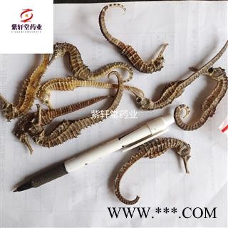 海马 海马中条 1克左右 小海马 产地福建省 地道药材 紫轩堂药业图3