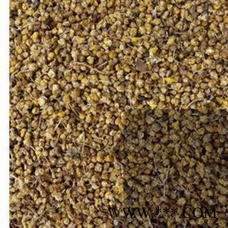 野菊花 野菊花好统货 产地 山东省图2