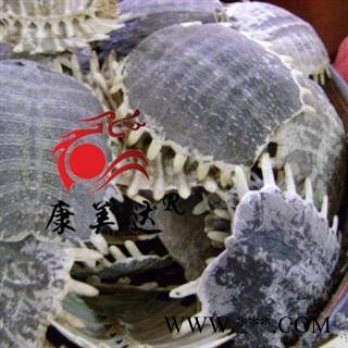 鳖甲 生鳖甲  选货 产地 湖北省图2