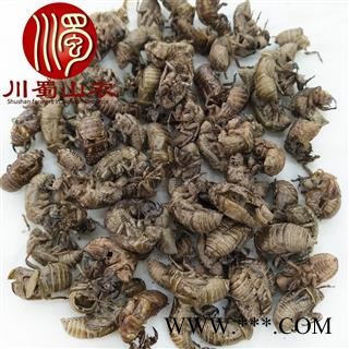 蝉蜕个子统货散装1公斤起批虫退产地直供蝉衣川蜀山农中药材批发图4