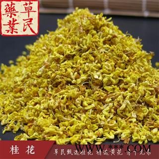 草民甄选桂花 实物如图 精选黄花 规格齐全量大从优图3