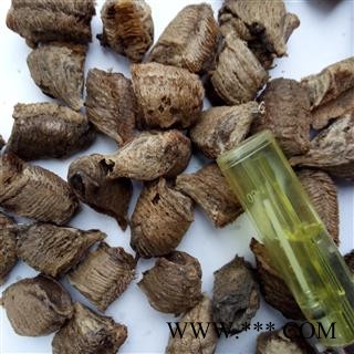 桑螵蛸 桑螵蛸熟二绵 产地 河南省平顶山市汝州市图4