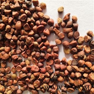 诺源药材行营实  蔷薇子图2