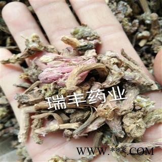 冬花 统 产地 甘肃省图2