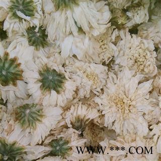 菊花 黄山贡菊花 产地 安徽省图2